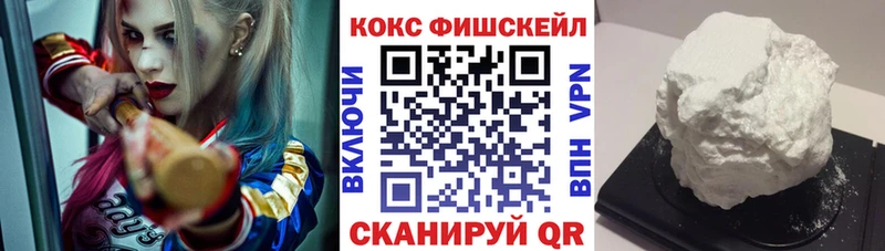 Купить закладки  Гусев  КОКАИН FishScale 