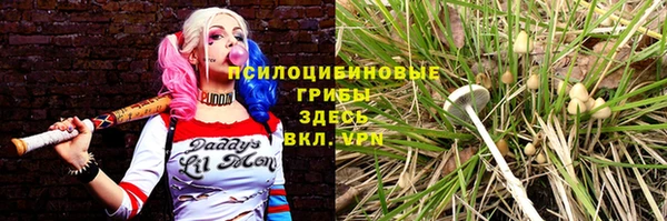 экстази Краснослободск