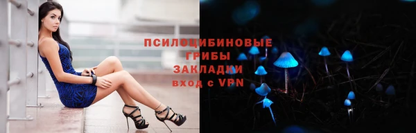 экстази Краснослободск