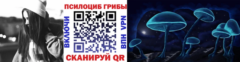 Галлюциногенные грибы мицелий  Купить  Гусев 